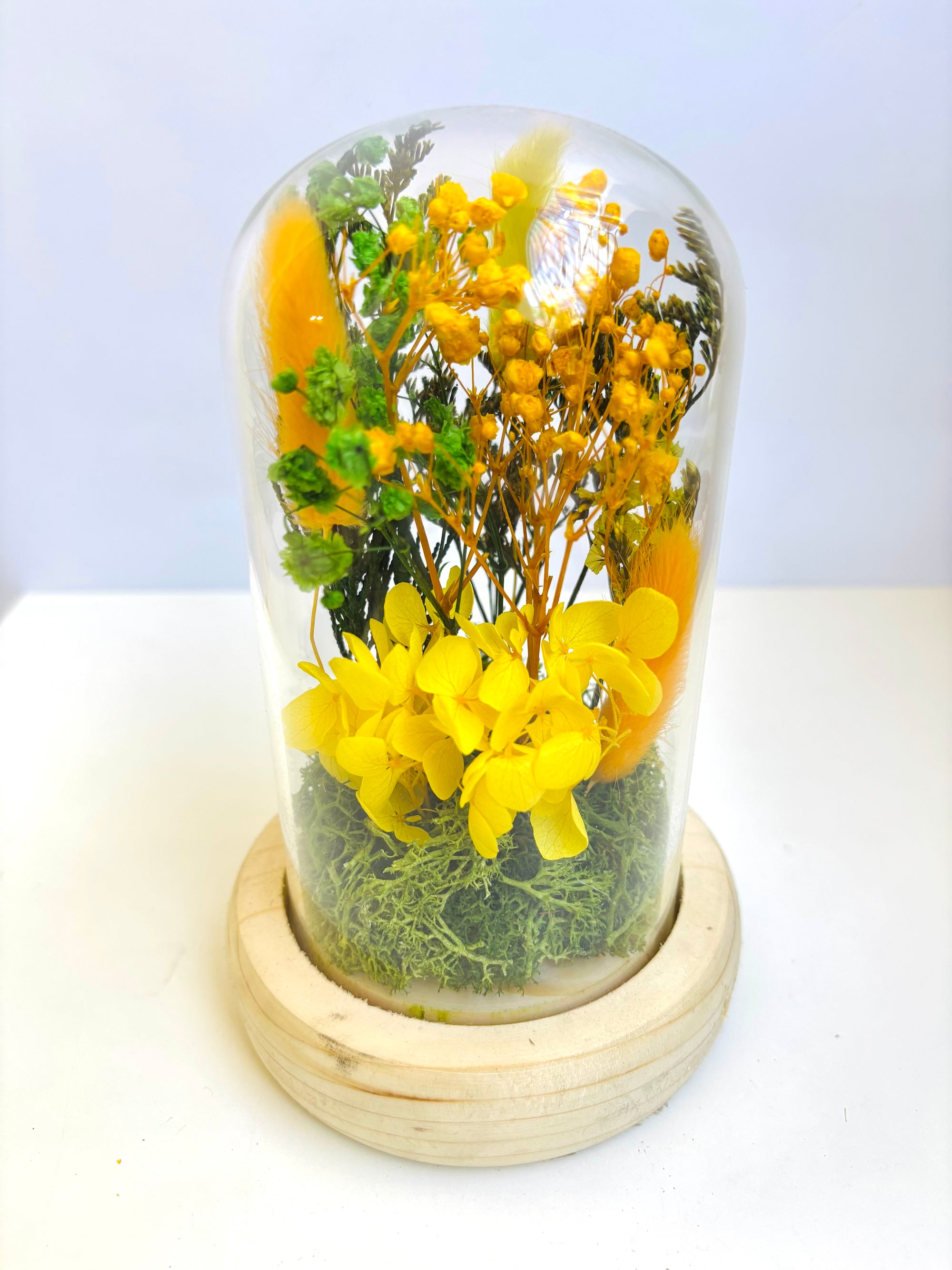 Blooming Halo Preserved Flower Glass Dome (Medium)