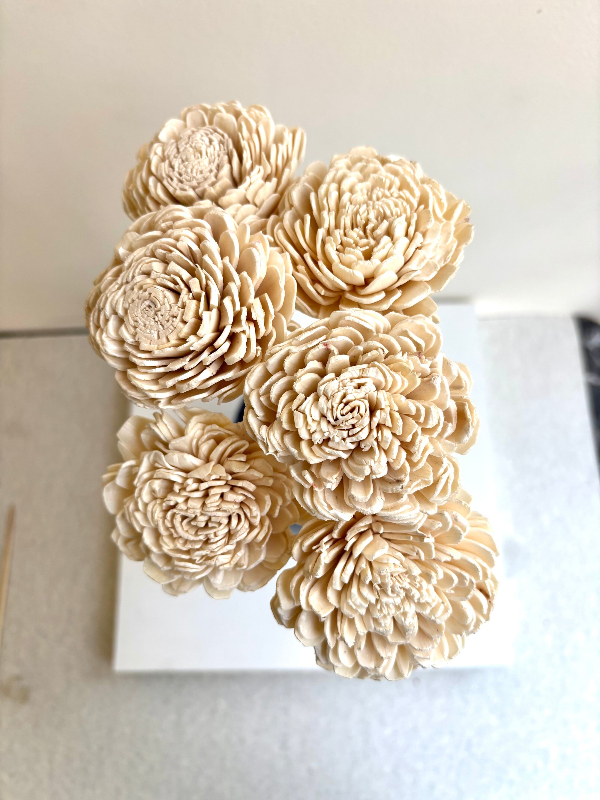 SOLA BUD ROSE (SET OF 6)