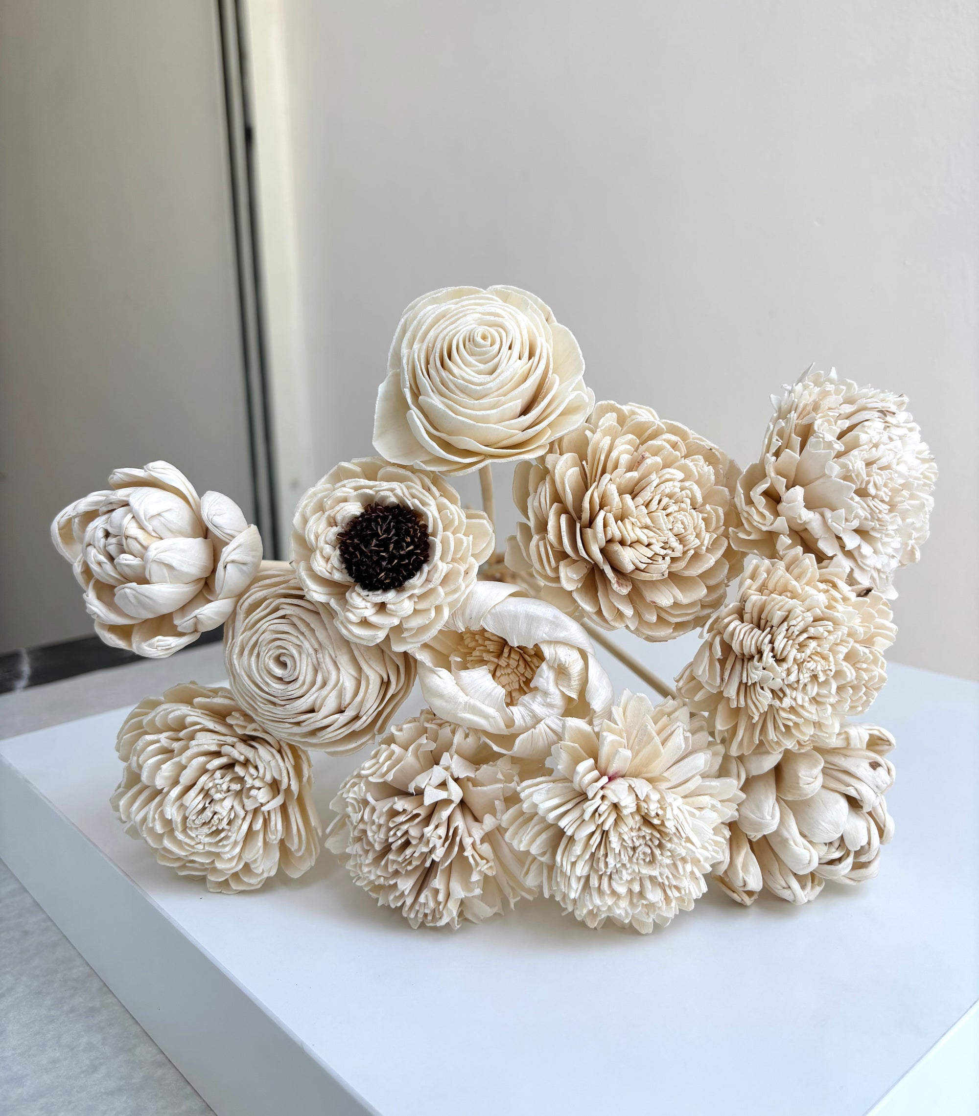 CLOUD WHITE SOLA (SET OF 12)