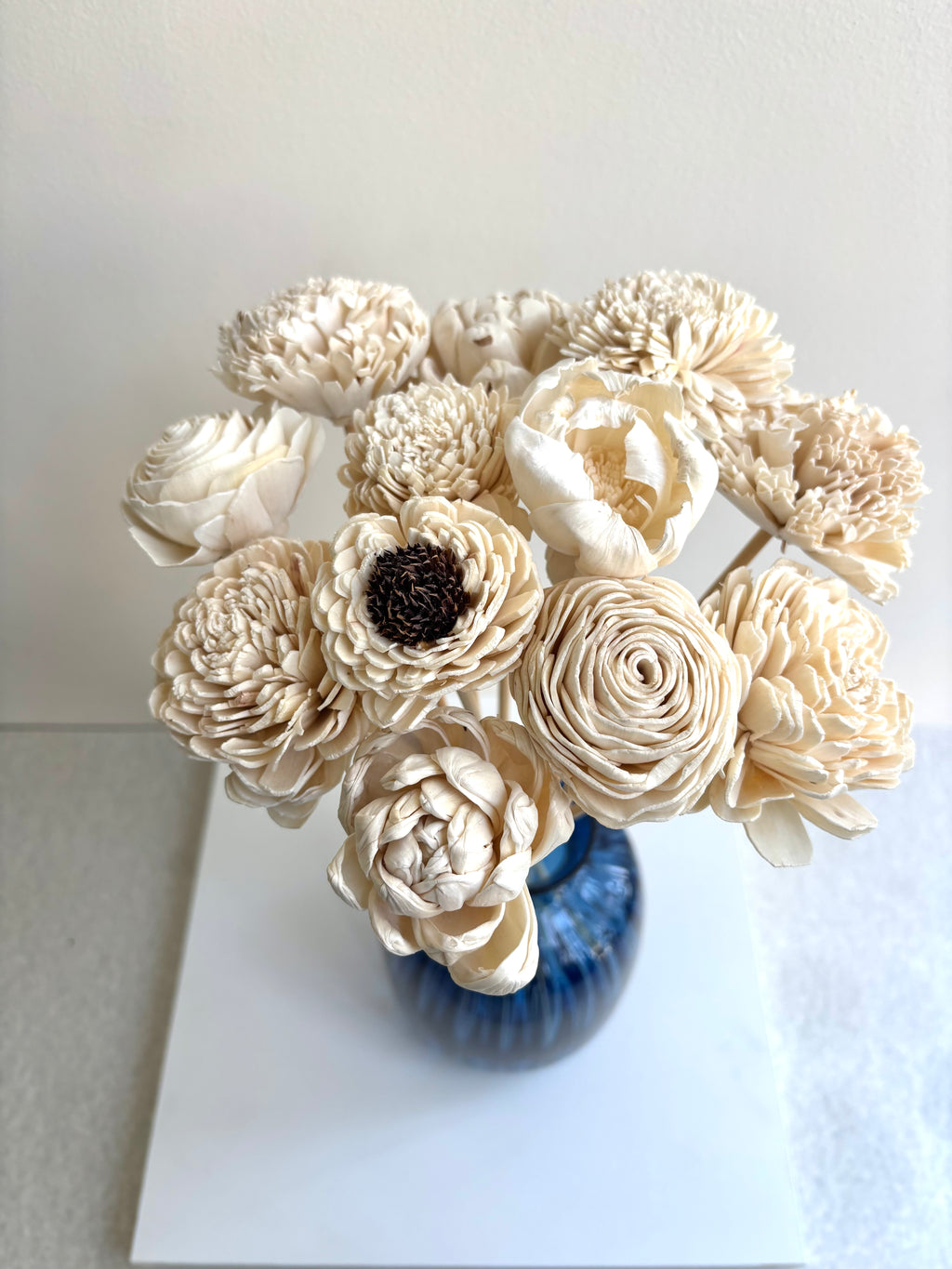 CLOUD WHITE SOLA (SET OF 12)
