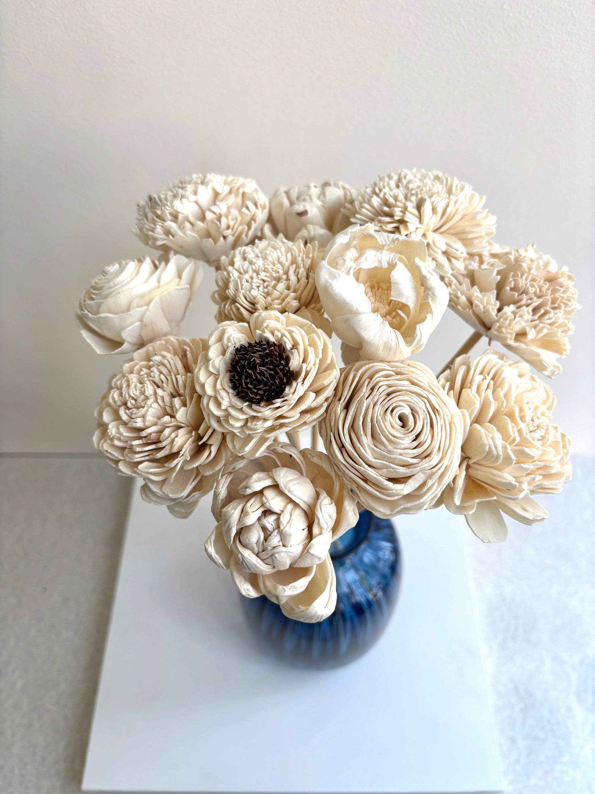 CLOUD WHITE SOLA (SET OF 12)