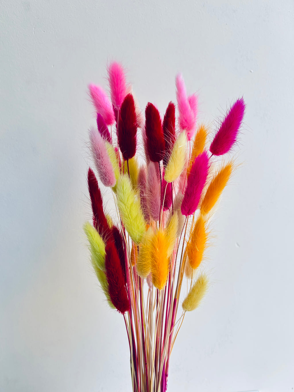 RAINBOW BLOOM BUNNY TAILS (SET OF 50)