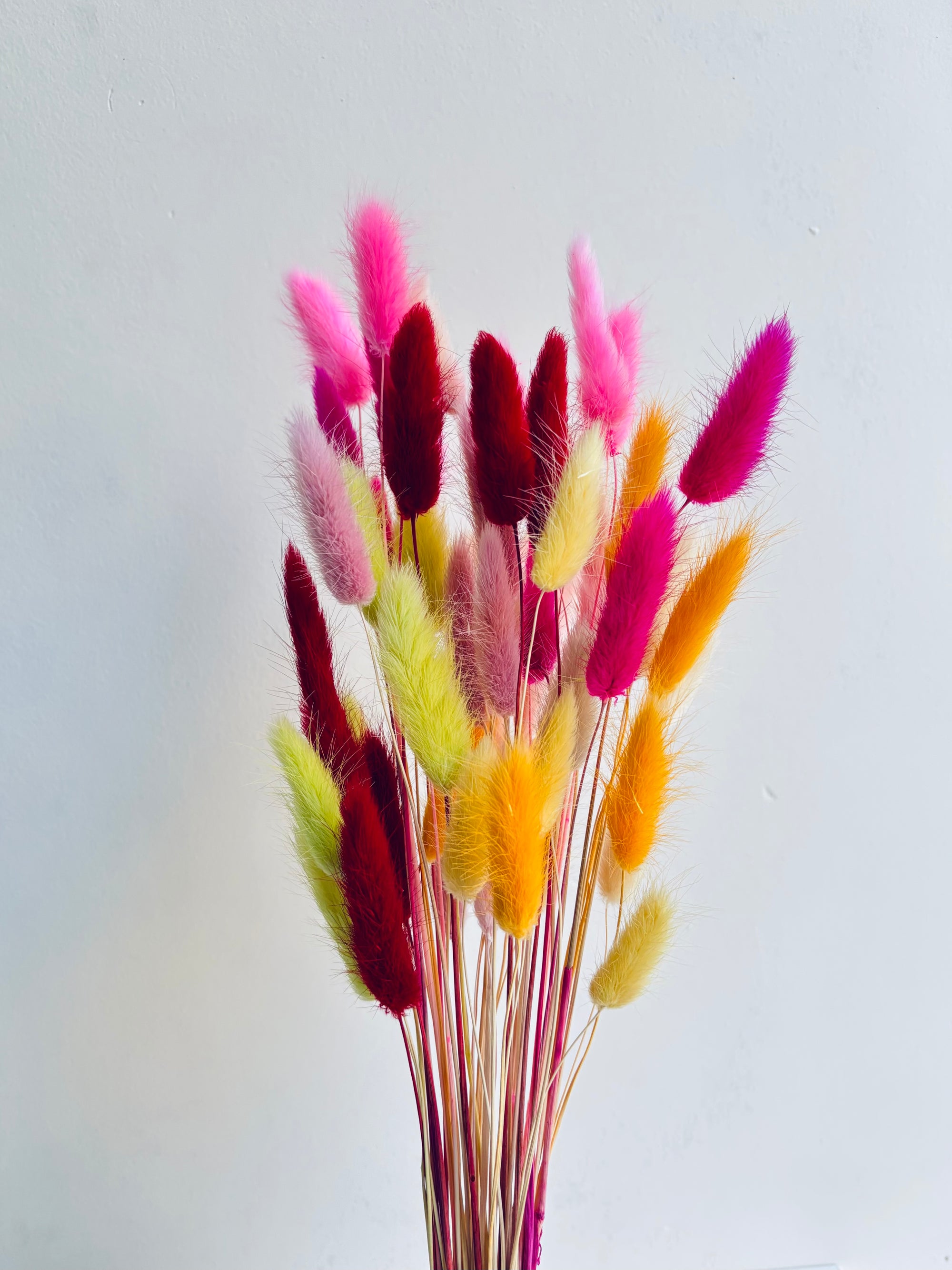 RAINBOW BLOOM BUNNY TAILS (SET OF 50)