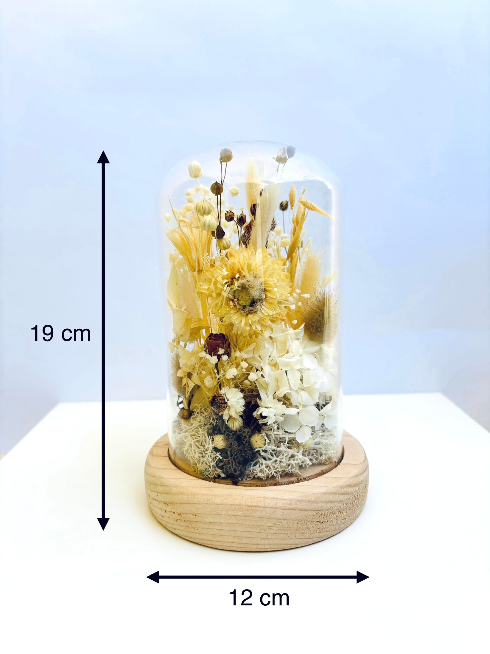 Piece Of Paradise Preserved Flower Glass Dome (Large)