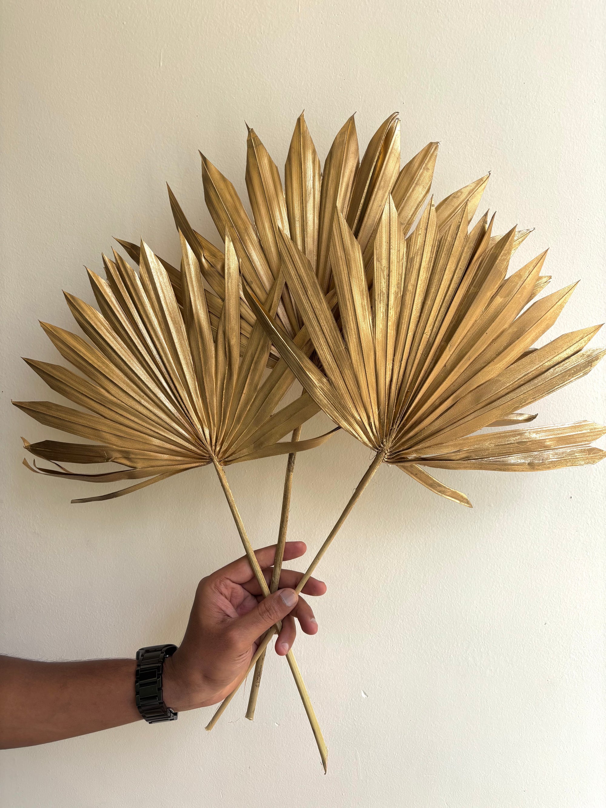GOLDEN SUN PALM (SET OF 3)