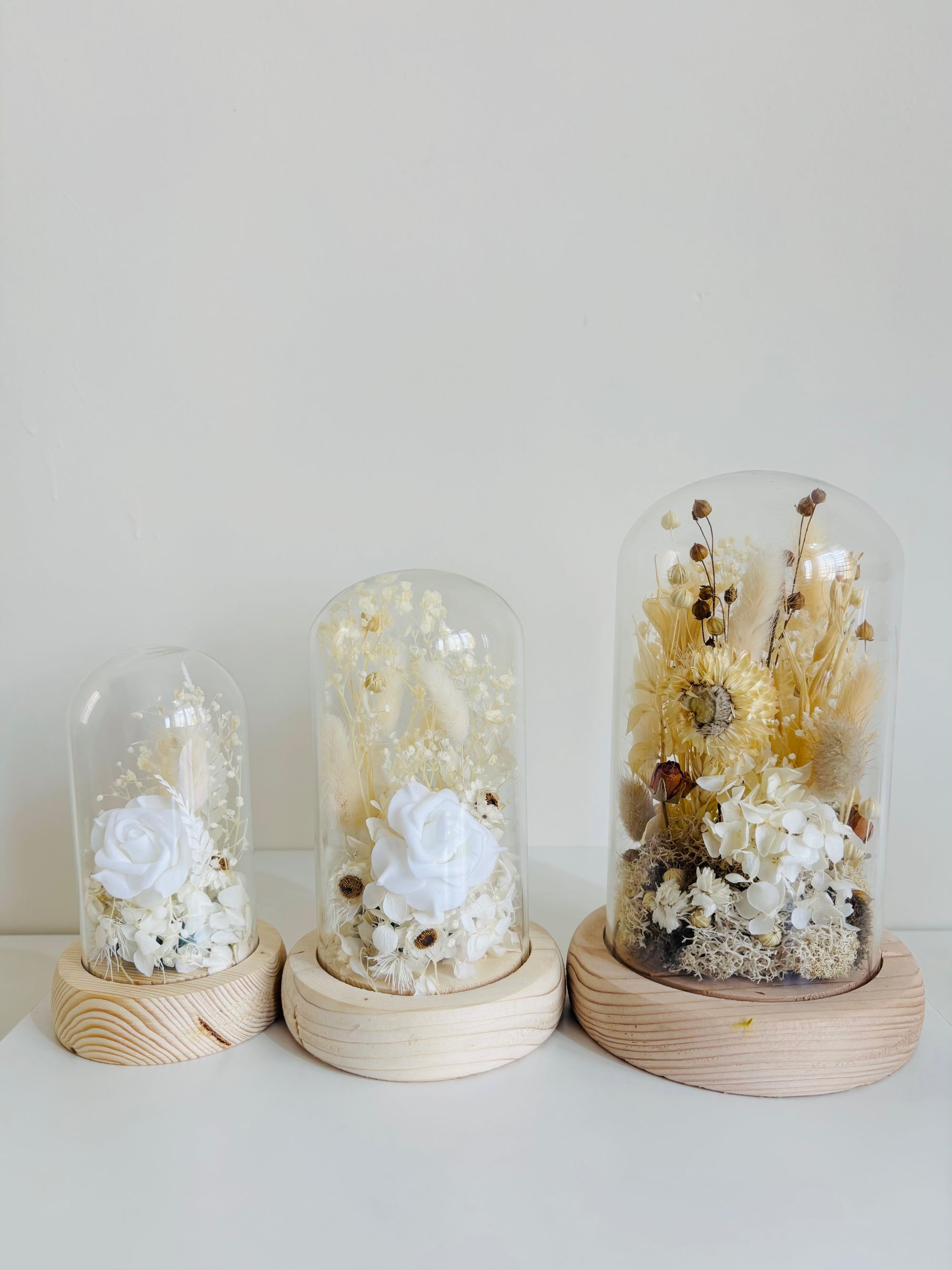 Winter White Preserved Flower Glass Dome (Small)