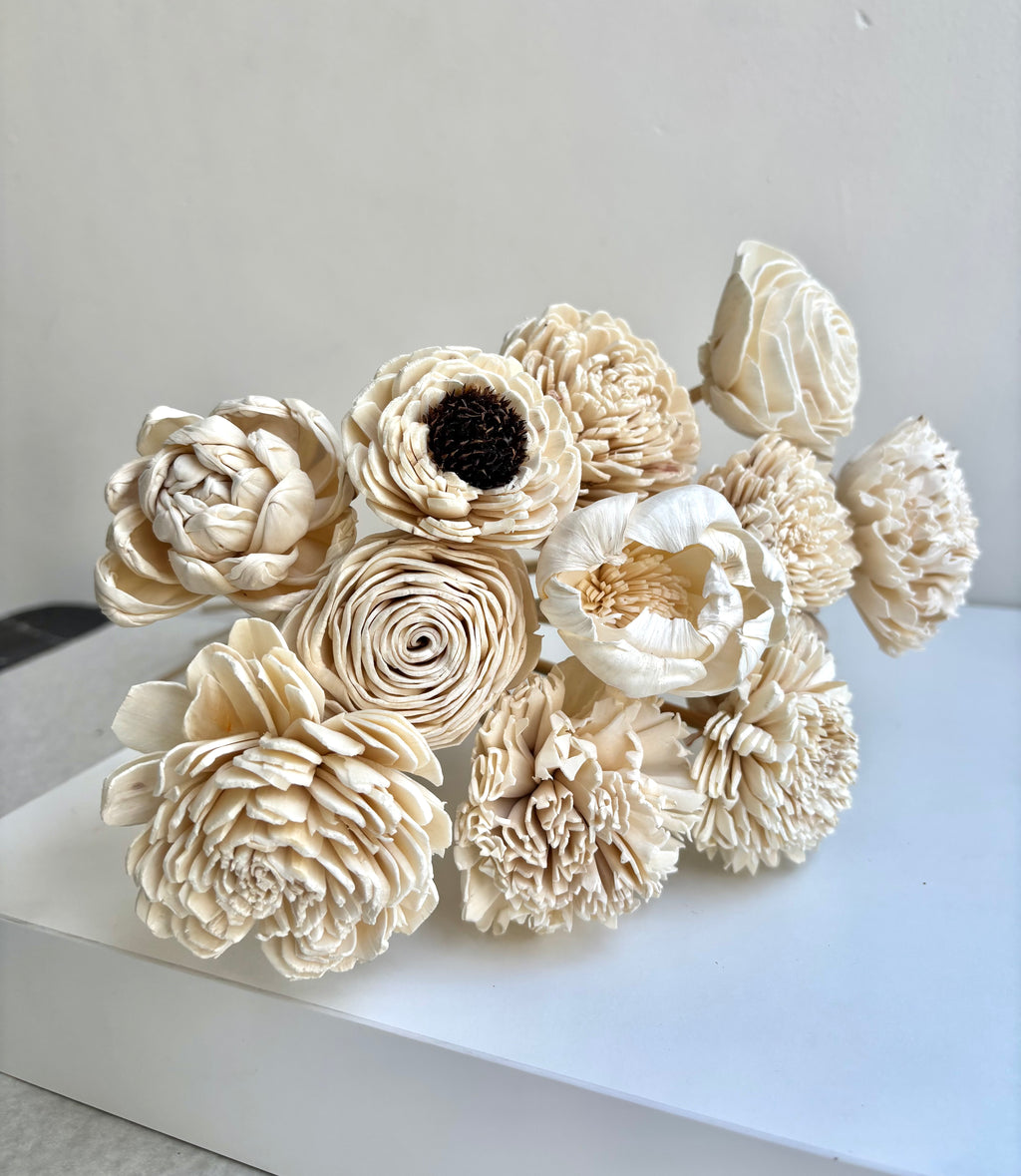 CLOUD WHITE SOLA (SET OF 12)