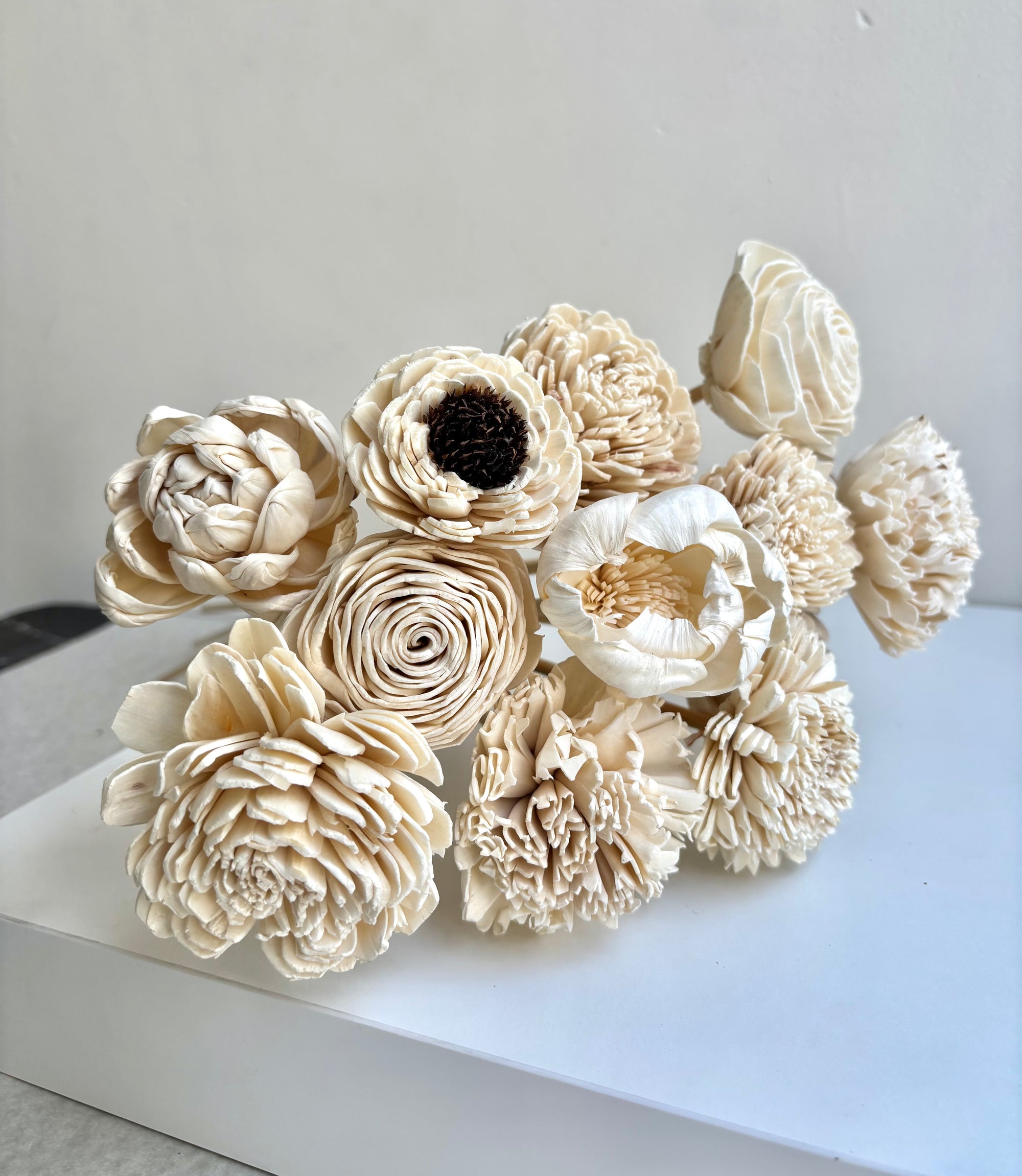 CLOUD WHITE SOLA (SET OF 12)