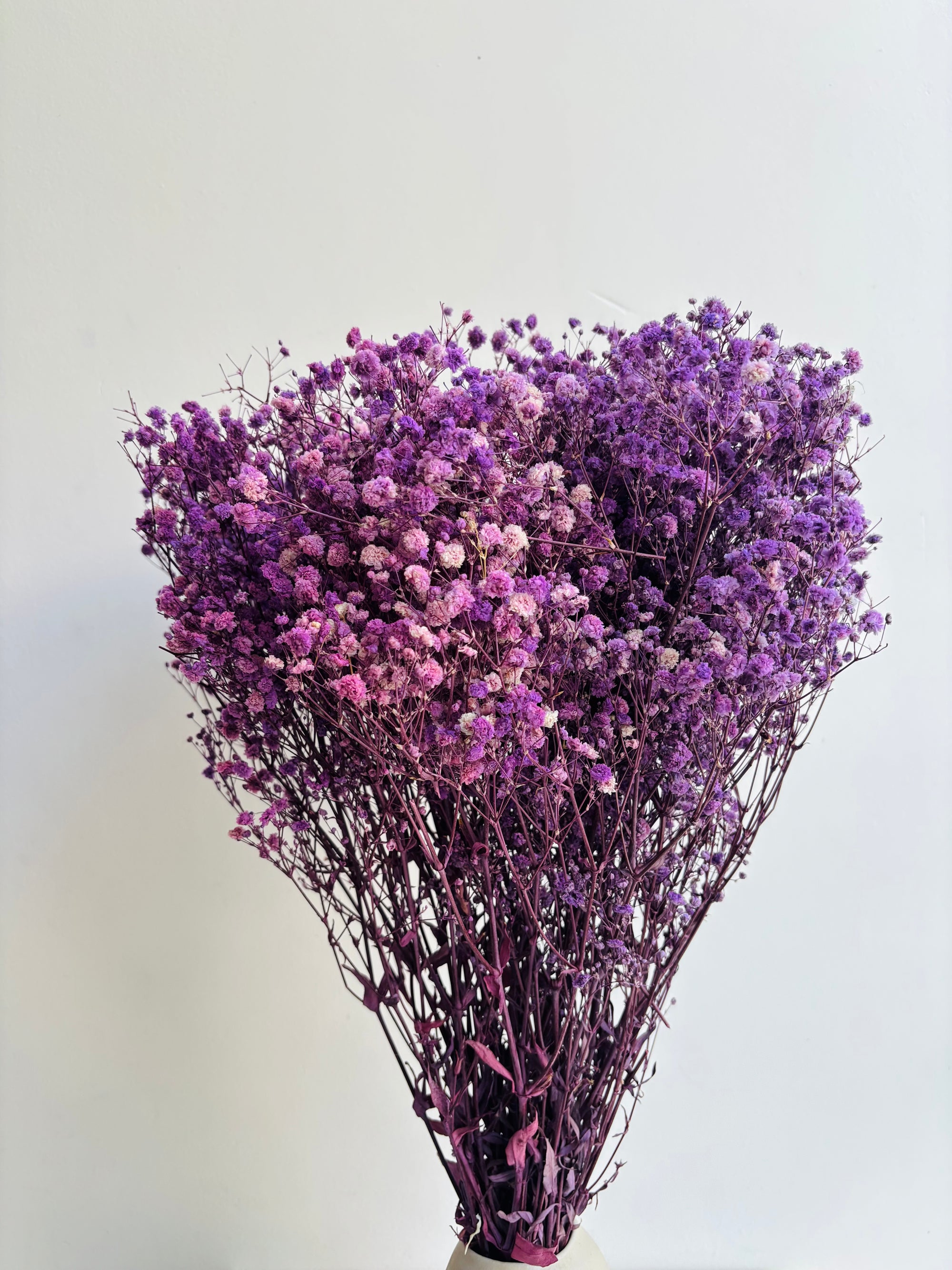PURPLE BABY’S BREATH BUNCH