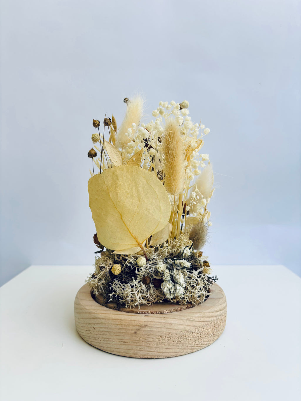 Piece Of Paradise Preserved Flower Glass Dome (Large)