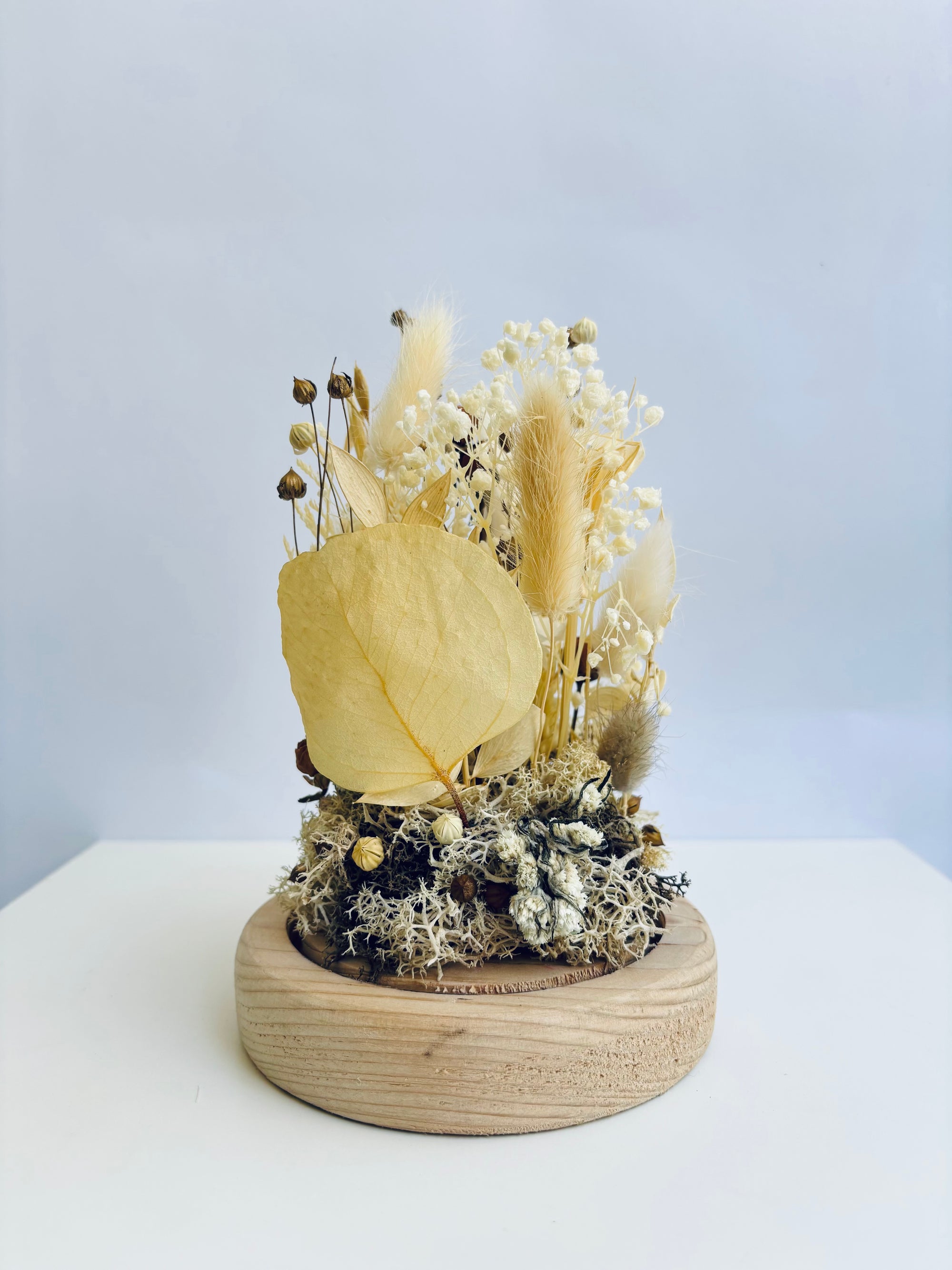 Piece Of Paradise Preserved Flower Glass Dome (Large)