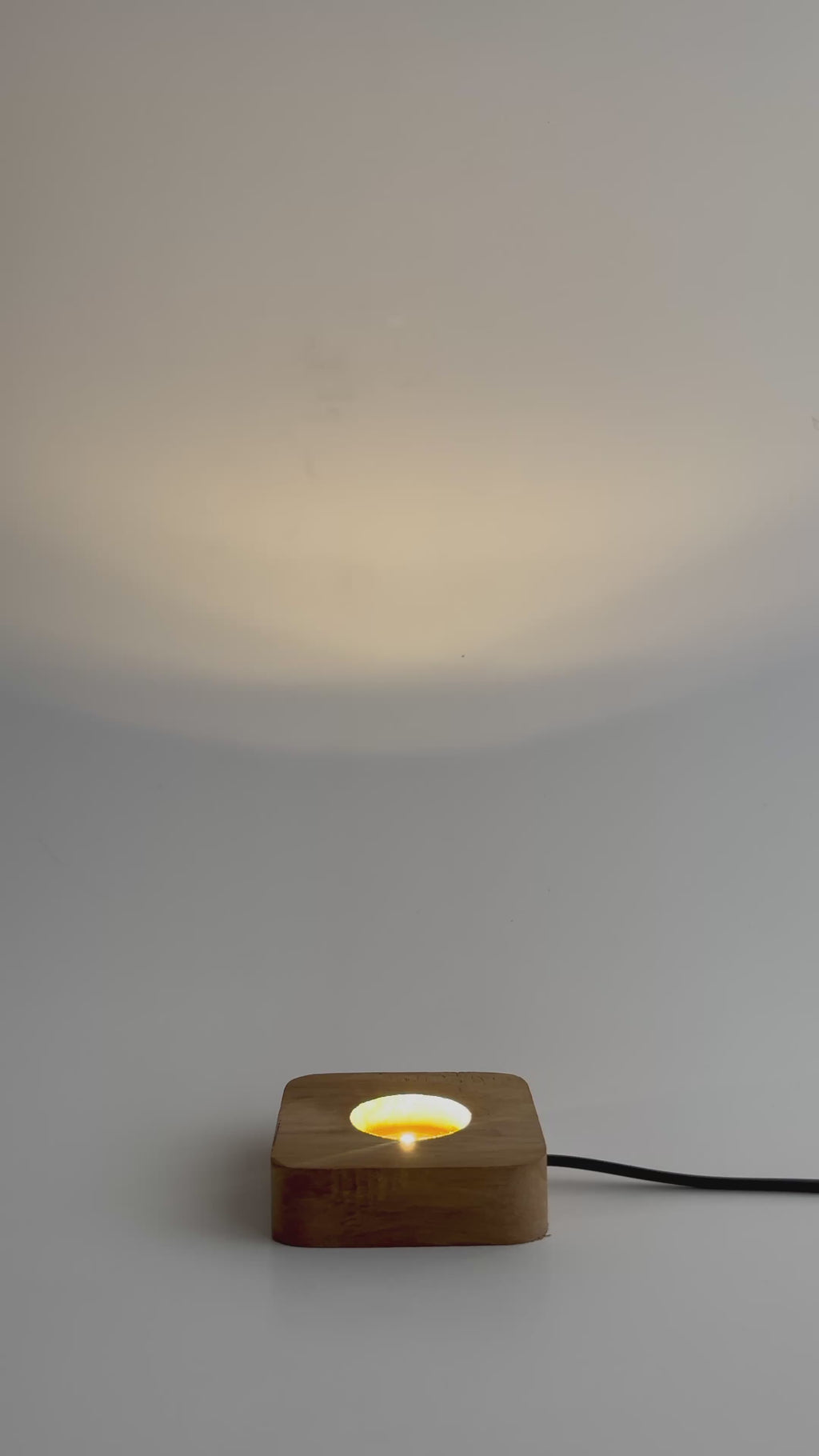 Fioro Eterno Preserved Flower Tabletop