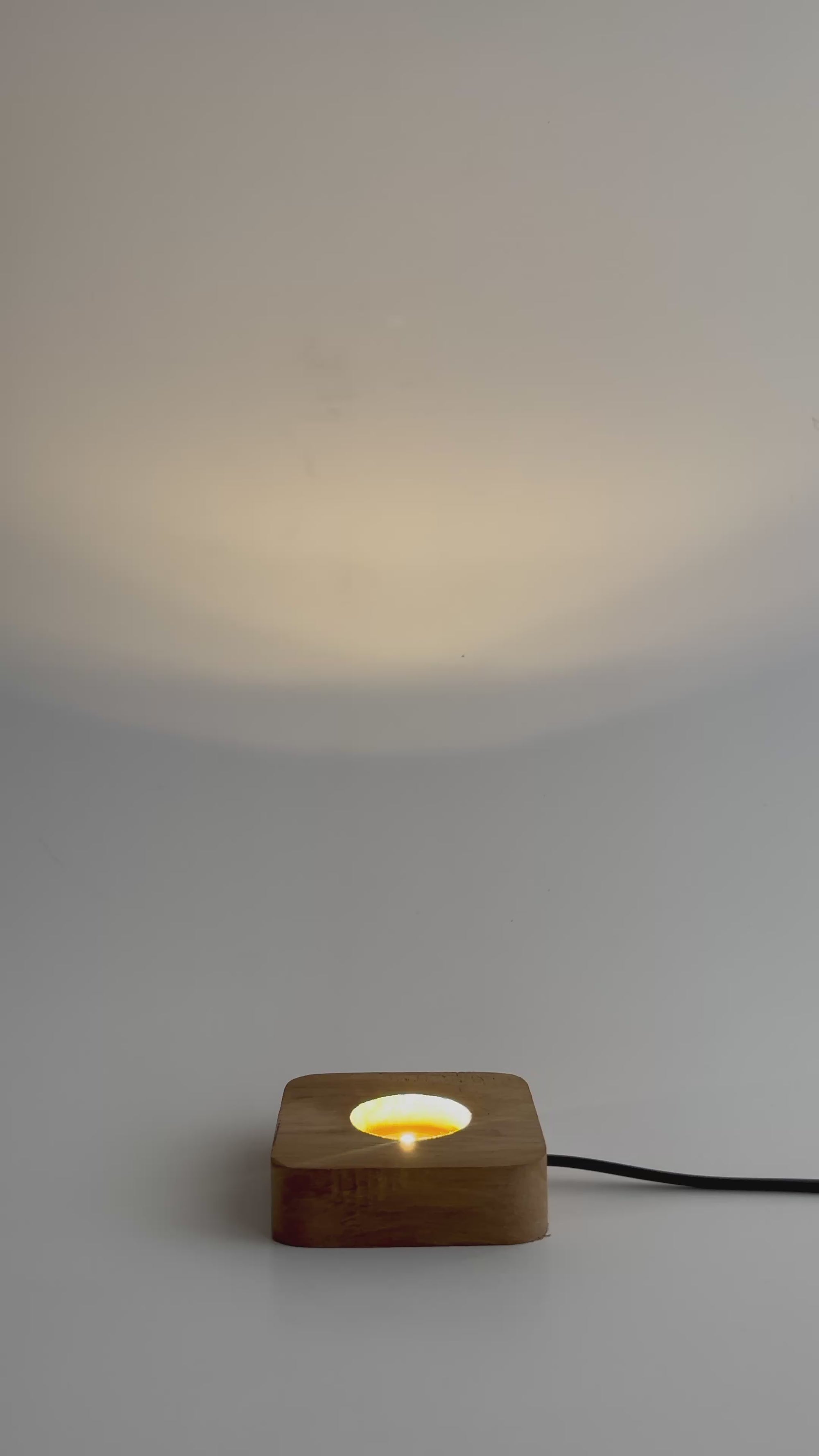 Fioro Eterno Preserved Flower Tabletop